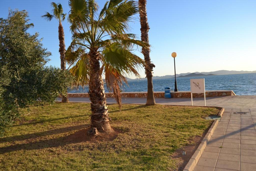 Apartamentos Turisticos Puerto Tomas Maestre 라망가델마르메노 외부 사진